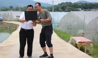 湘东区白竺乡 湘东区白竺乡