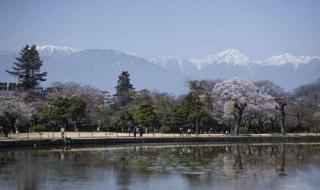 历届冬奥运会举办城市